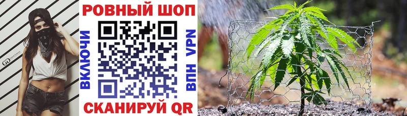 Наркота Ельня БУТИРАТ  hydra онион  Гашиш  Каннабис  АМФЕТАМИН  A-PVP 