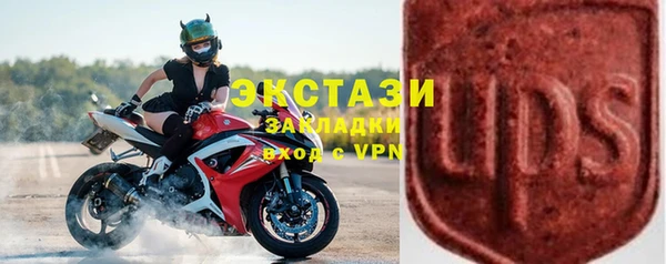 индика Арсеньев
