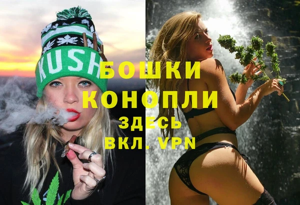 индика Арсеньев