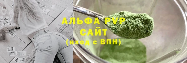 индика Арсеньев