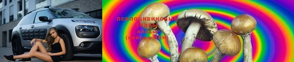 2c-b Аркадак