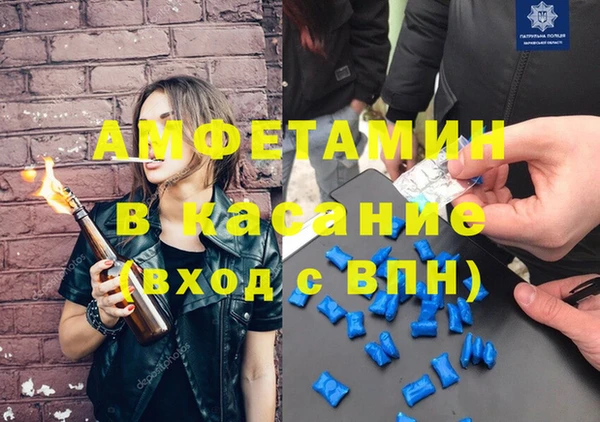 индика Арсеньев