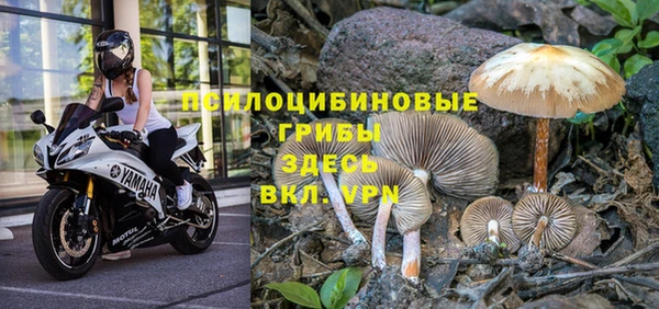индика Арсеньев