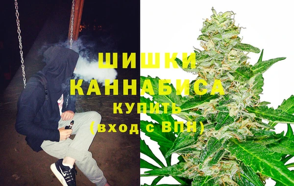 индика Арсеньев