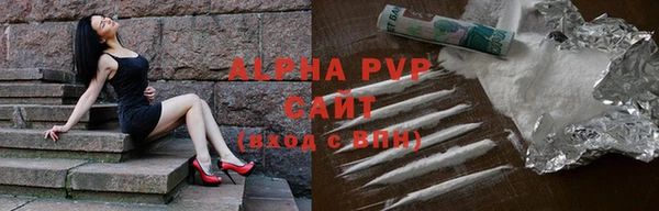 индика Арсеньев