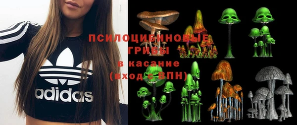 экстази Карпинск