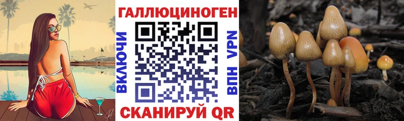 Галлюциногенные грибы Magic Shrooms  Ельня 